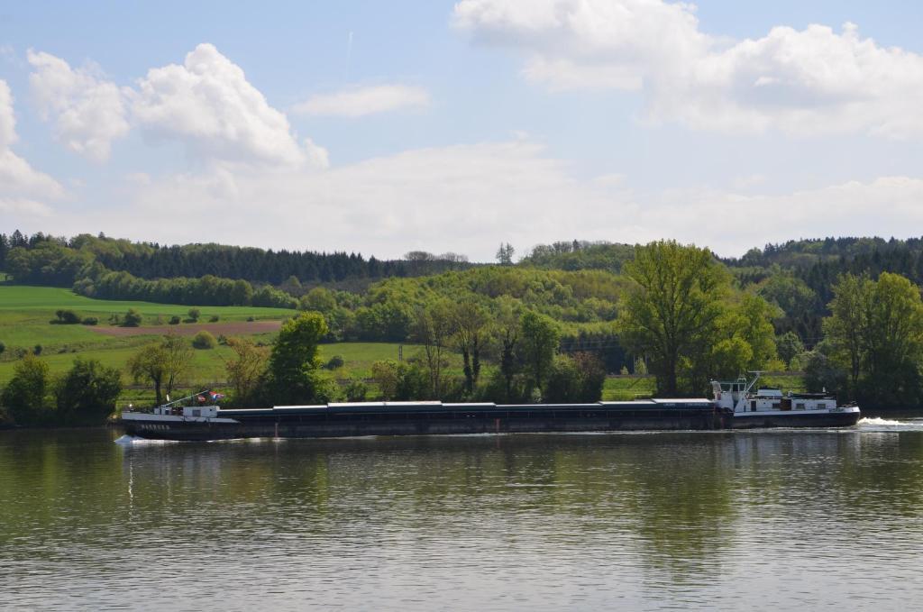 Fischwirtshaus Landmotel Die Donaurast Persenbeug Habitación foto