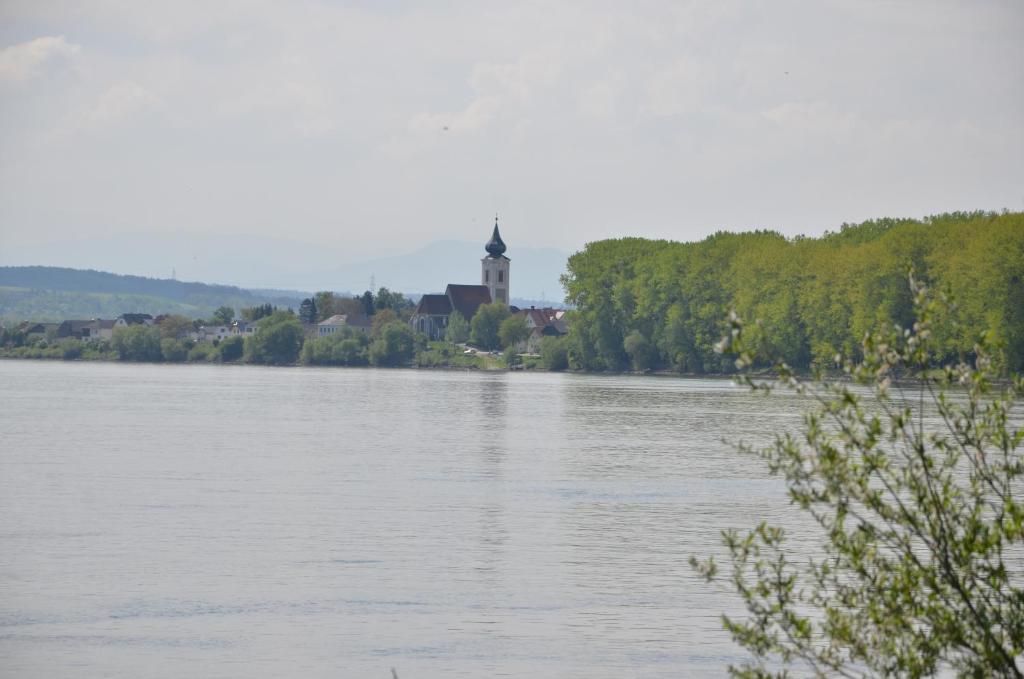 Fischwirtshaus Landmotel Die Donaurast Persenbeug Habitación foto